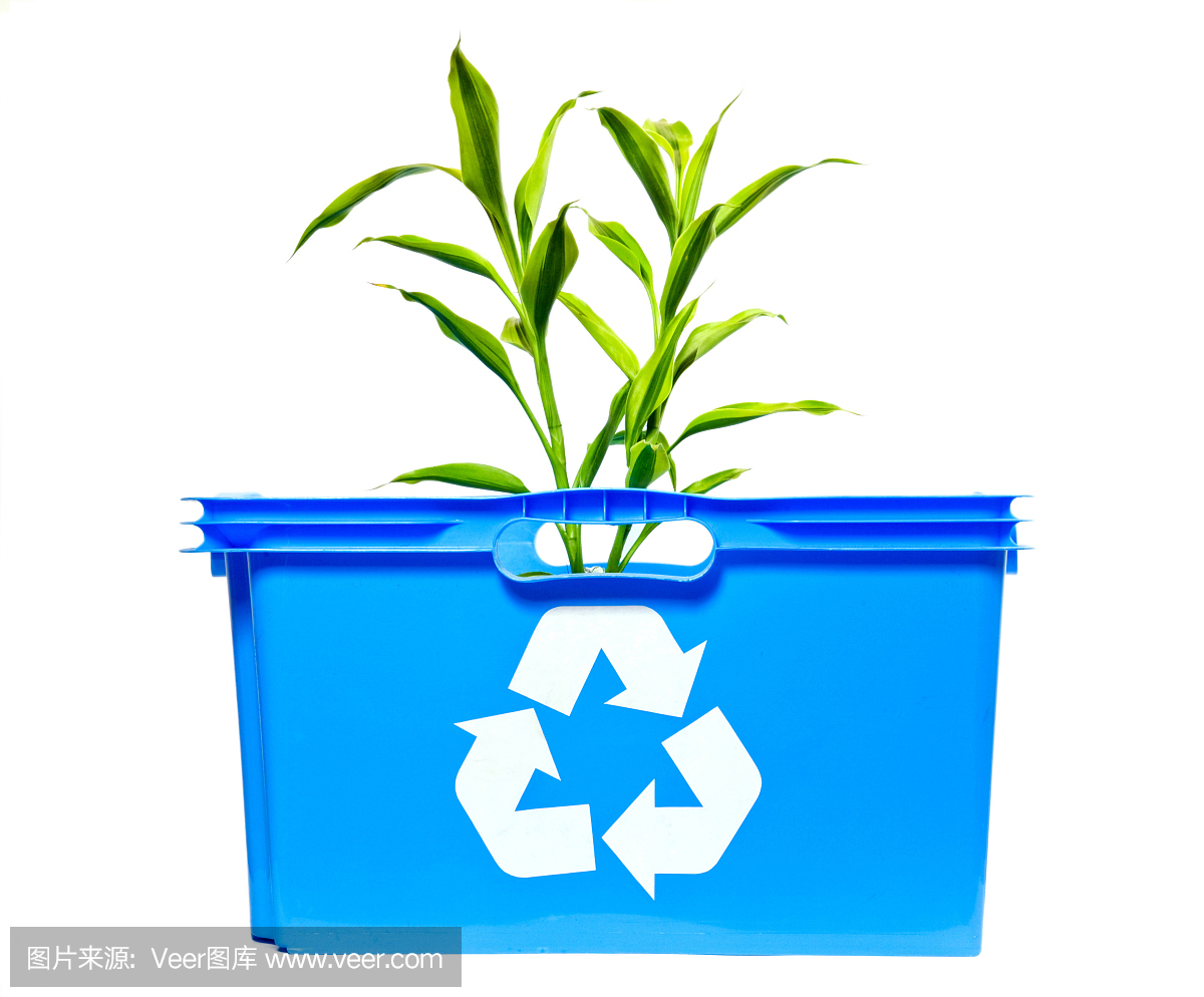 回收站內(nèi)的綠色植物