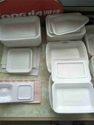 外賣餐盒設備可降解的餐盒通佳制造
