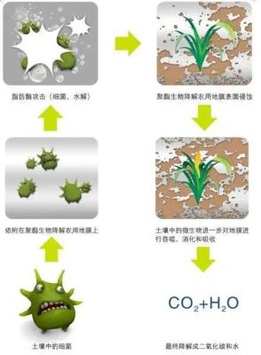 史上最全的可降解材料知識!趕緊收藏~
