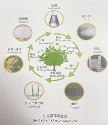 細節拉滿!冬奧會的餐盤竟然是酸奶的“親戚”!