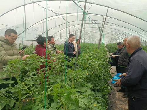 自貢市實施五個強化 構建食用農產品質量安全與家用電器銷售協同發展新格局